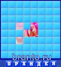 Игра Словоед - орхидея