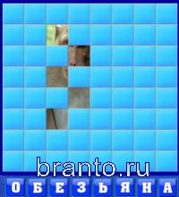 Словоед, ответы в картинках: обезьяна