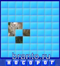 Словоед путешествия решения: носорог