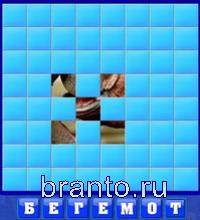 Словоед Таиланд решения: бегемот