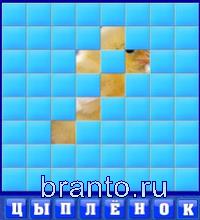 8 букв: цыплёнок