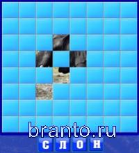 Словоед, ответы в картинках: слон