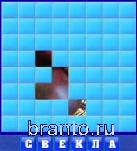 6 буквы: свекла