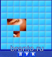 Словоед ответы - лук