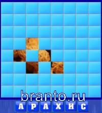 6 букв: арахис