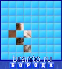 Слово из 6 букв: борода