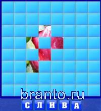 5 букв: слива