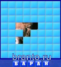 Словоед, ответы в картинках: баран