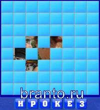 Слово из 6 букв: ирокез