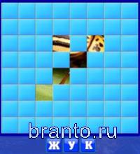 Игра Словоед Швейцария - жук