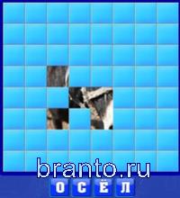 Слово из 4 букв: осёл