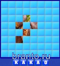 какао