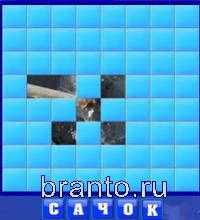 Словоед одноклассники: сачок