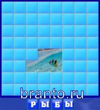 Словоед, ответы в картинках: рыбы