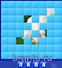 Словоед страны ответы - лапа