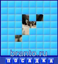 Словоед страны ответы - медведь