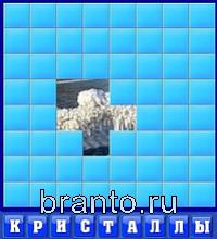 ответы на игру Словоед путешествуй по миру: кот