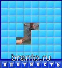 6 букв: корова