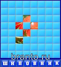 Слово из 3 букв: люк