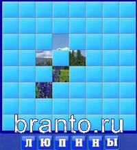 Слово из 3 букв: люк