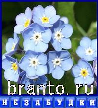 Словоед Эстония ответы