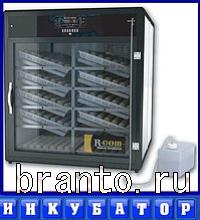 ответы на игру Словоед путешествуй по миру