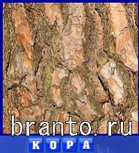 ответы на игру Словоед путешествуй по миру: кот