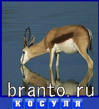 Словоед в одноклассниках