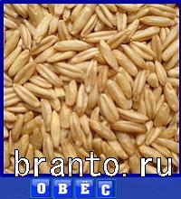 ответы на игру Словоед путешествуй по миру