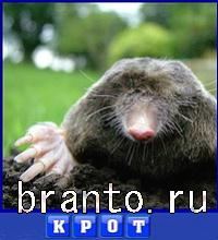 Словоед Ирландия ответы