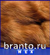 ответы на игру Словоед путешествуй по миру