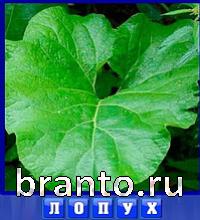 Словоед Азербайджан ответы