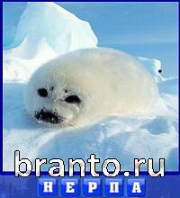 ответы на игру Словоед путешествуй по миру