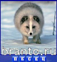 ответы на игру Словоед путешествуй по миру