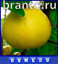 ответы на игру Словоед путешествуй по миру