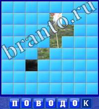 Слово из 4 букв