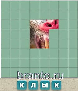 Словария вконтакте: барьер