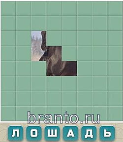 Словария решения: парусник