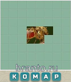 Слово из 7 букв: бассейн