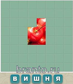 Игра Словария - мука