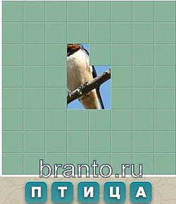 Словария ответы - стадион