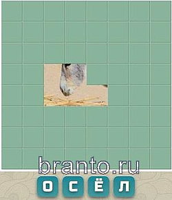 Словария вконтакте: осёл