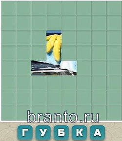 Словария ответы - губка