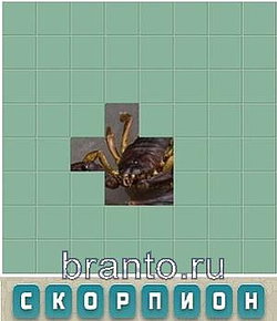 Словария, ответы в картинках: скорпион