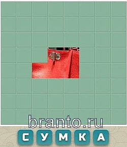 Словария, ответы в картинках: сумка