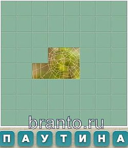 Словария ответы - на фото паутина