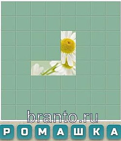 Словария вконтакте: ромашка