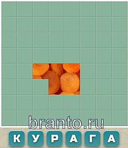 Словария, ответы в картинках: курага