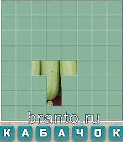 7 букв: кабачок