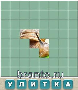улитка